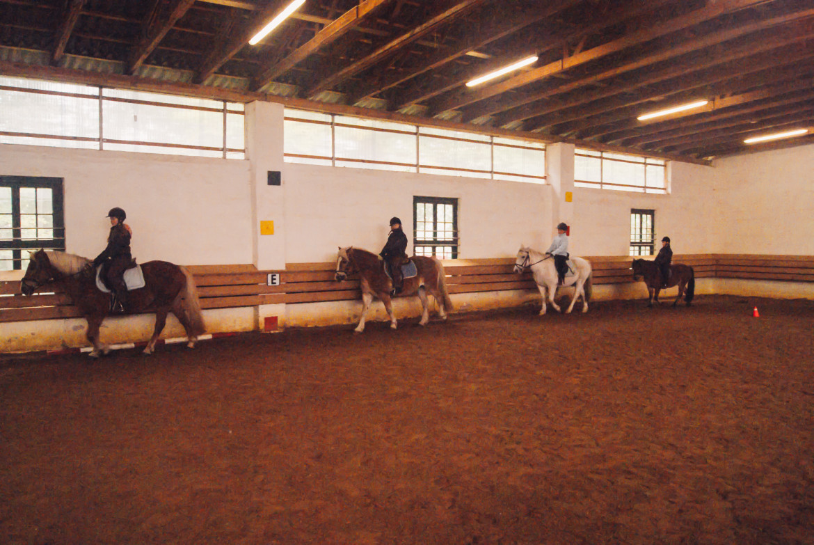 DSC09260-Haflingerhof-Kattien.jpg