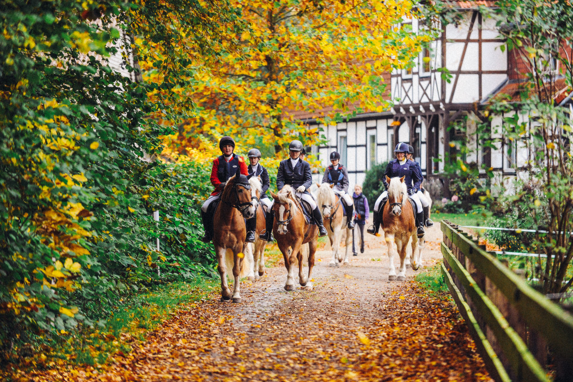 DSC_8484-Haflingerhof-Kattien.jpg